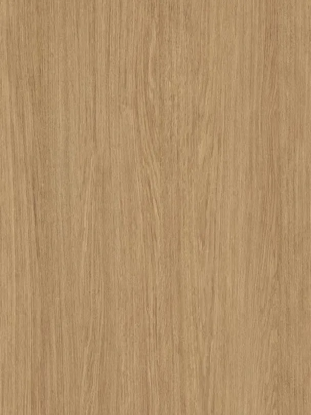 European Oak 02
