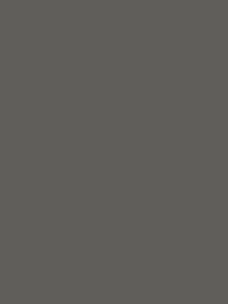 Gris Plomo Cabinets