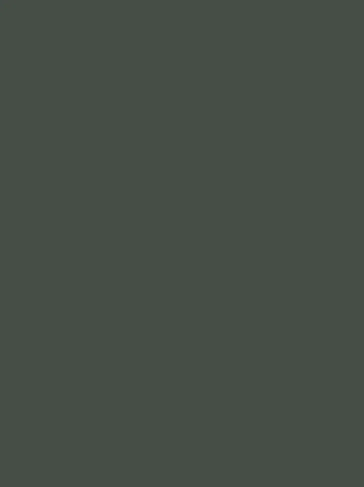 Verde Salvia Matte Cabinets